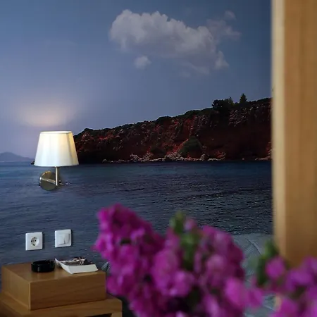 Nereides פטיטיריון